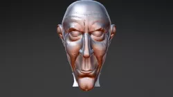 Face model