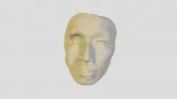 Face_open mouth