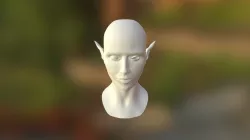 face update 2