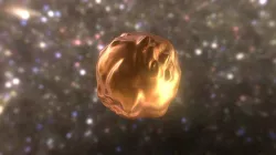 Fake Venus