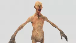 Fallout: Feral Ghoul