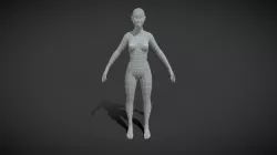 Female Body Base Mesh 3D Model