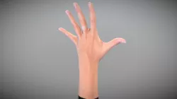 Female hand 39