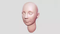 Female Head Base