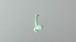 Femur