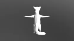 Ferret