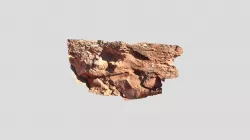 Field #554: Upper Papago Park Stop 8
