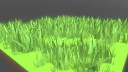 Field of Wild Grass