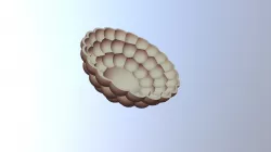 Finalshellprint5