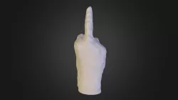 Finger
