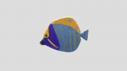 Fish