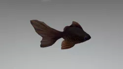 Fish Model - Maya