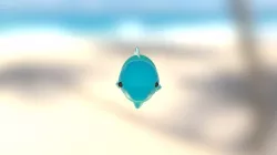 Fish, Organic Shape
