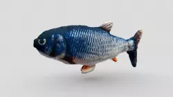 Fish plush
