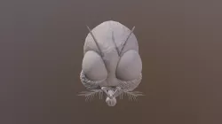 Fly Head