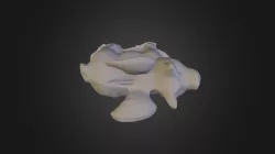 Flying Pig