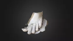 foot