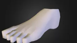Foot Model