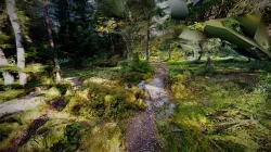 Forest env low res