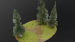 Forest terrain 2