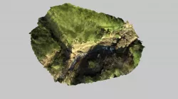 Forestry Landslide - Wilson Lower