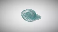 Fossil