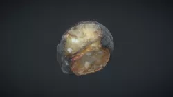 Fossil