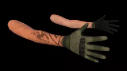 FPS Combat hands
