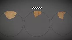 Fragments of clay disks/plates