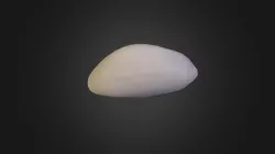 fried egg