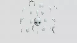 Front Hair Head Parts