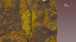 FS1749 V bar V Lichen and Petroglyphs Panel 5