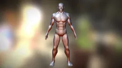 Full Body