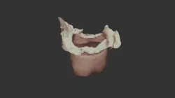 G1 4 Upper Jaw