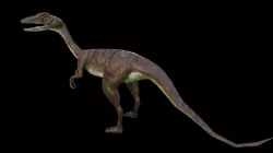 Game Ready Dino