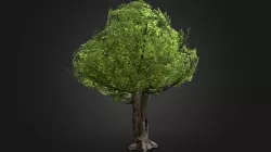Game ready oak tree model