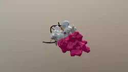 GATA-1 bound to FOG and DNA