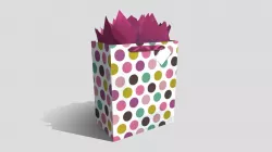 Gift Bag