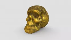 Gold Skull