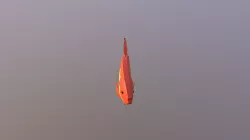 Goldfish