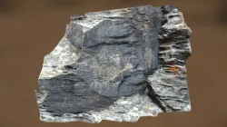Grabados antropomorfos (Peñacarrasquilla, Seg.)