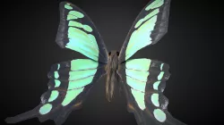 Graphium Cloanthus Kuge Rigged