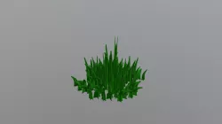 Grass