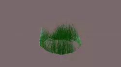 Grass