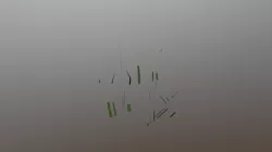 Grass Mesh