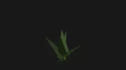Grass