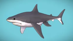 Great White Shark