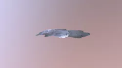 Grummin Wildcat