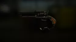 Gun