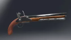 Gun